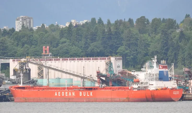 HUA DA YUN Bulk Carrier IMO 9217228 photo 5