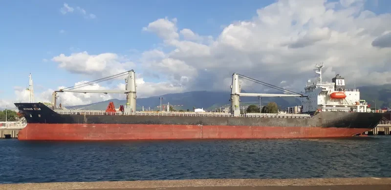 MERMAID STAR General Cargo IMO 9217462 photo 7