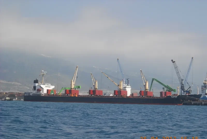 XING QIANG 9 Bulk Carrier IMO 9217735 photo 10