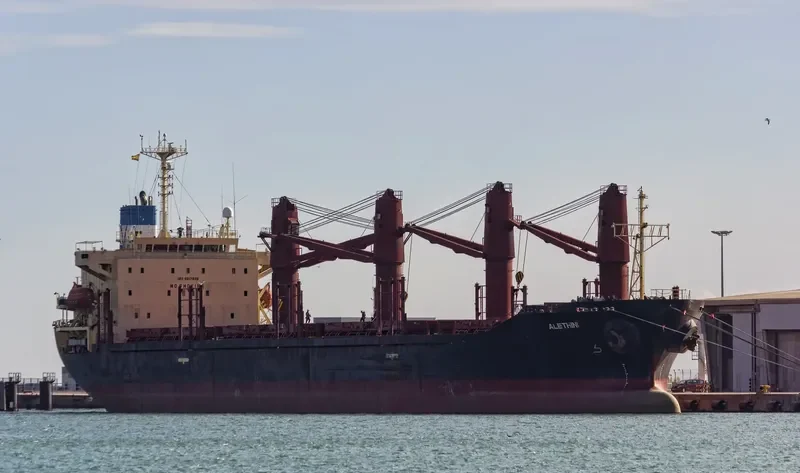 ALETHINI Bulk Carrier IMO 9217826