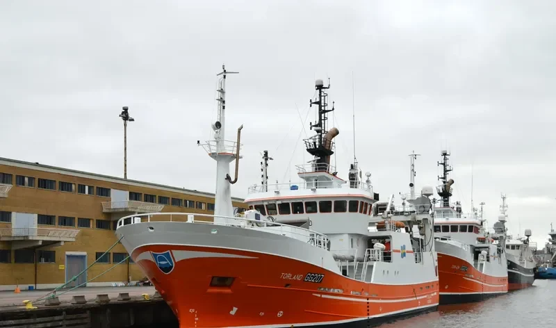TORLAND General Cargo IMO 9217864 photo 3