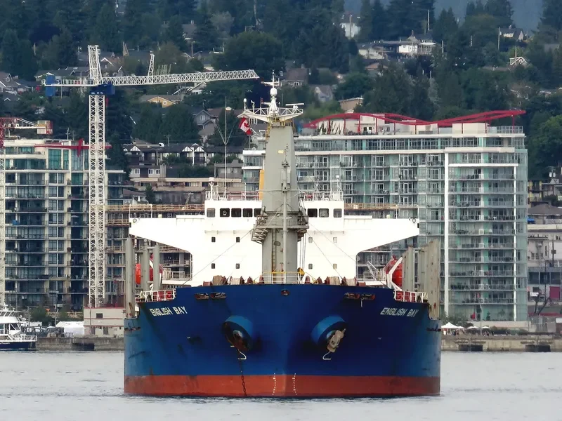 ENGLISH BAY Bulk Carrier IMO 9218038 photo 2