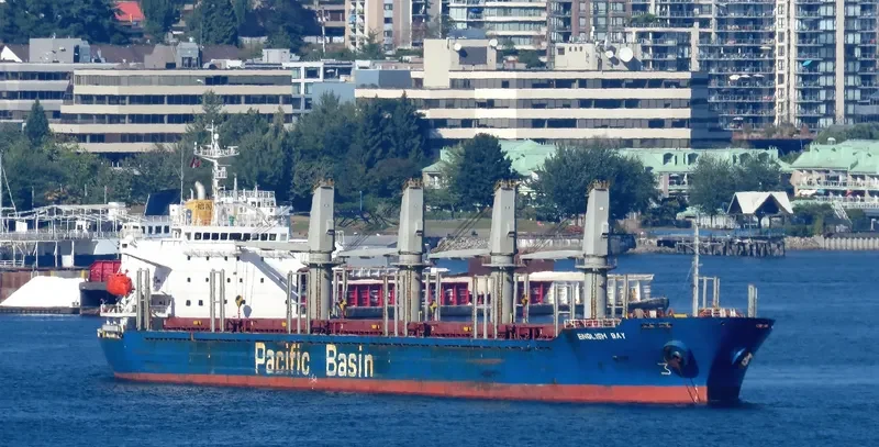 ENGLISH BAY Bulk Carrier IMO 9218038 photo 3