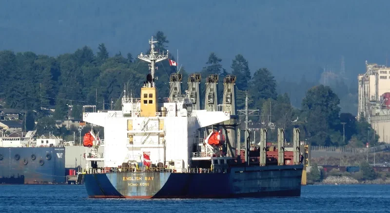 ENGLISH BAY Bulk Carrier IMO 9218038 photo 4