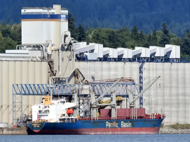 ENGLISH BAY Bulk Carrier IMO 9218038 photo 7