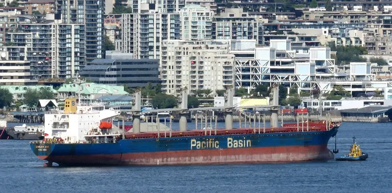 ENGLISH BAY Bulk Carrier IMO 9218038 photo 9