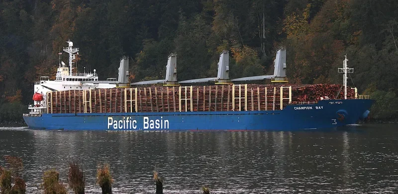MICROCHIP Bulk Carrier IMO 9218040 photo 4