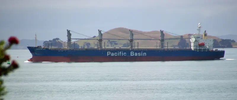 MICROCHIP Bulk Carrier IMO 9218040 photo 6
