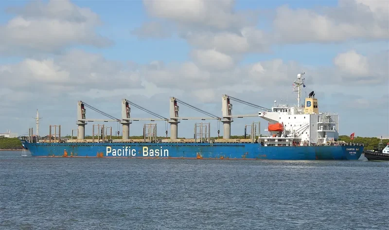 MICROCHIP Bulk Carrier IMO 9218040 photo 10