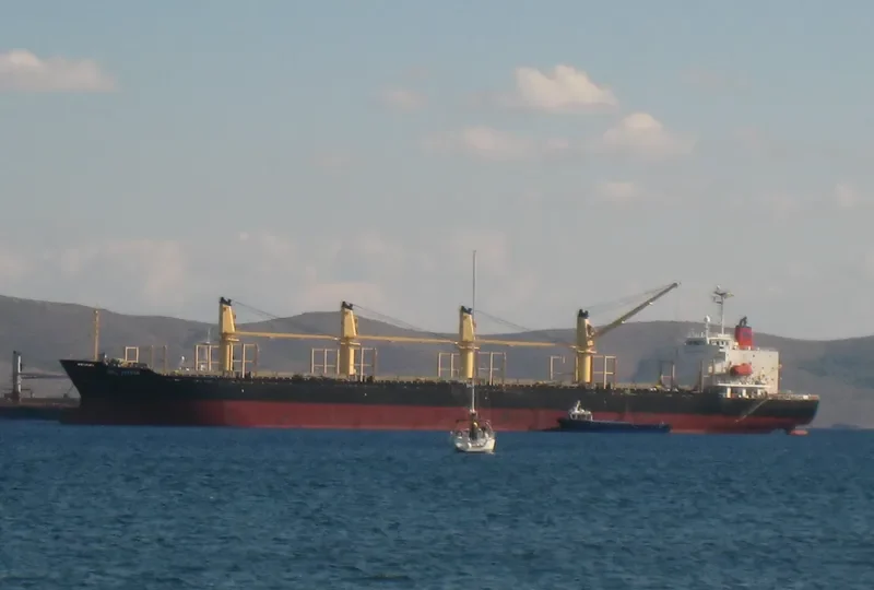 MEL VISION Bulk Carrier IMO 9218052 photo 2