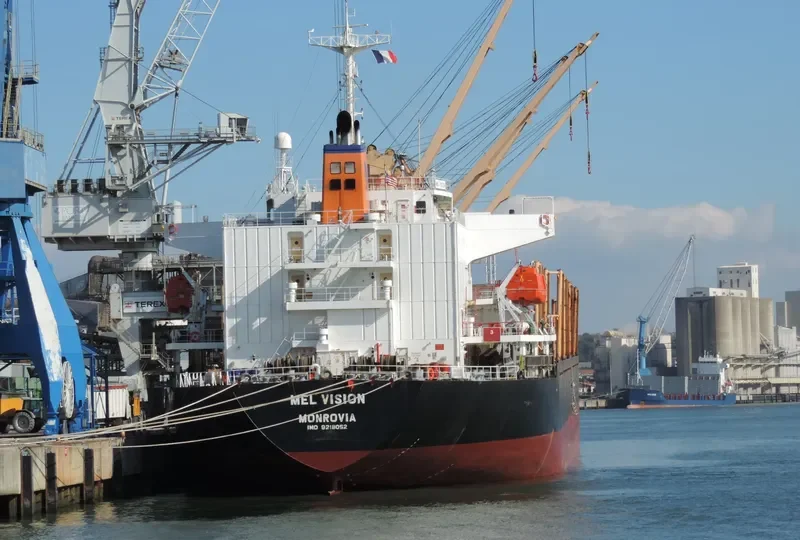 MEL VISION Bulk Carrier IMO 9218052 photo 8