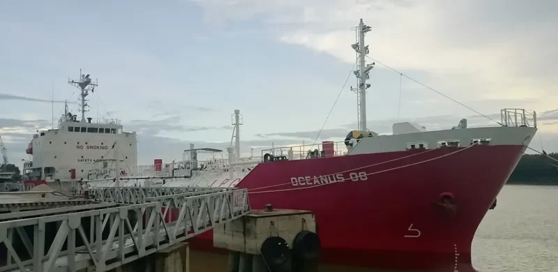 OCEANUS 08 General Cargo IMO 9218129 photo 2