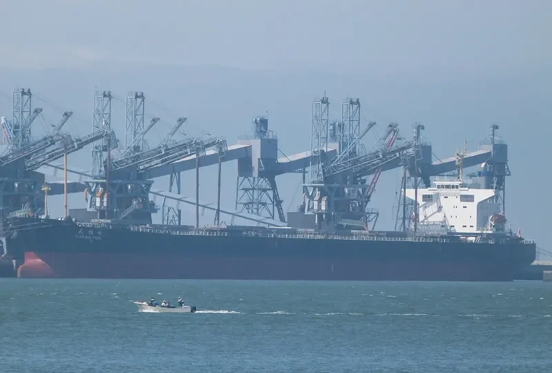 TIAN BAI FENG Bulk Carrier IMO 9218167
