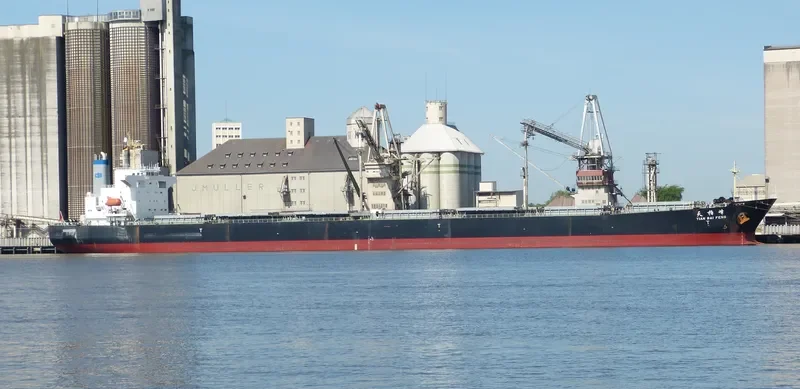 TIAN BAI FENG Bulk Carrier IMO 9218167 photo 4