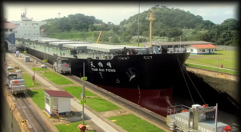 TIAN BAI FENG Bulk Carrier IMO 9218167 photo 8
