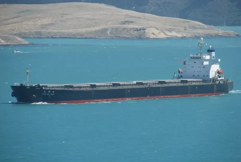 TIAN BAI FENG Bulk Carrier IMO 9218167 photo 9