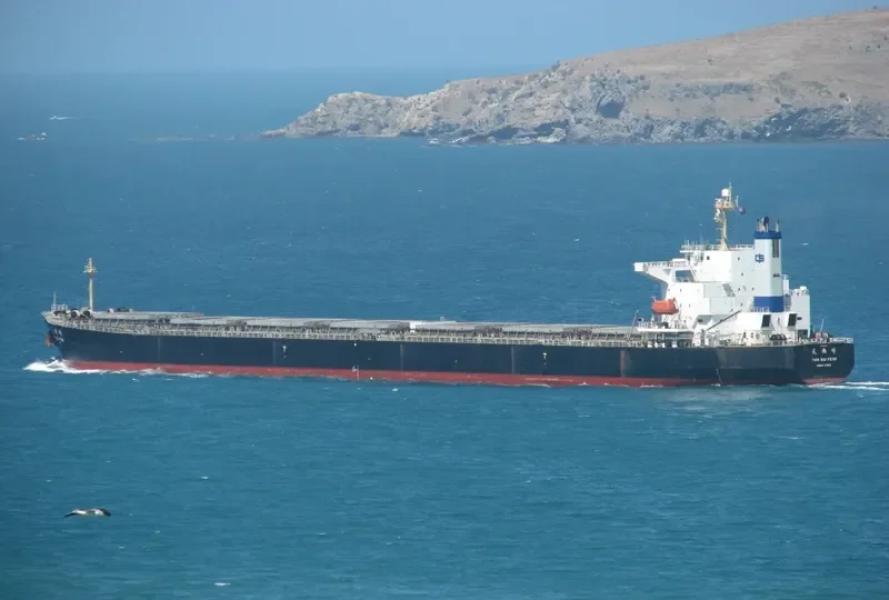 TIAN BAI FENG Bulk Carrier IMO 9218167 photo 10