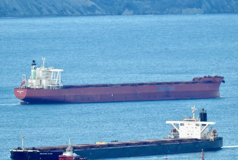 EQUATOR PEACE Bulk Carrier IMO 9218179 photo 5