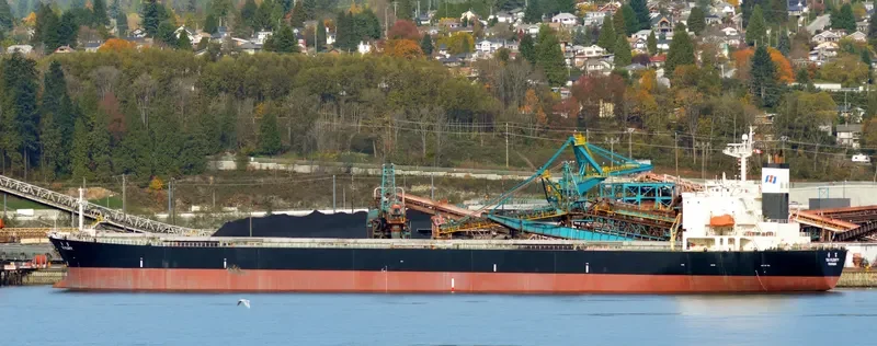 RUI KANG 66 Bulk Carrier IMO 9218260 photo 5