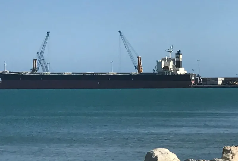 CHARM LOONG Bulk Carrier IMO 9218272 photo 2