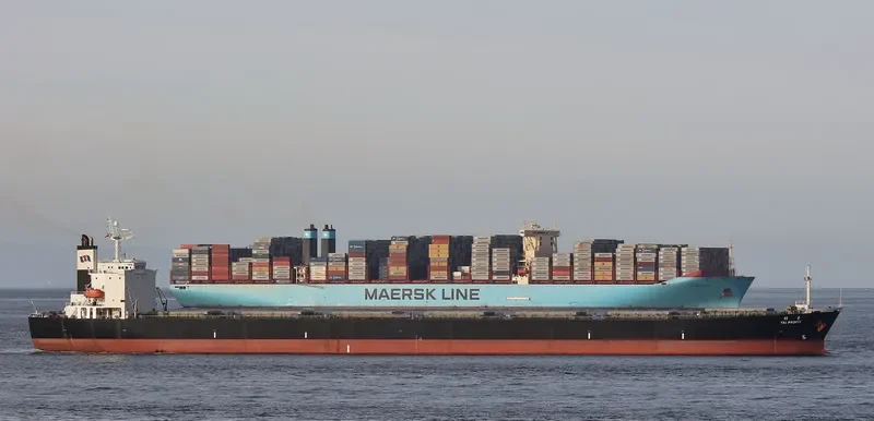 CHARM LOONG Bulk Carrier IMO 9218272 photo 5