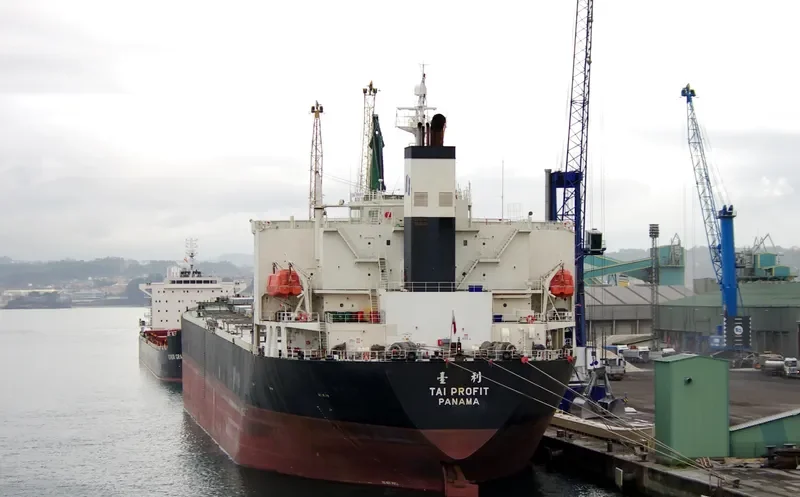 CHARM LOONG Bulk Carrier IMO 9218272 photo 8
