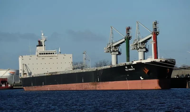 CHARM LOONG Bulk Carrier IMO 9218272 photo 9