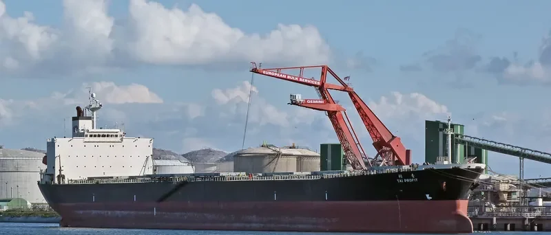 CHARM LOONG Bulk Carrier IMO 9218272 photo 10