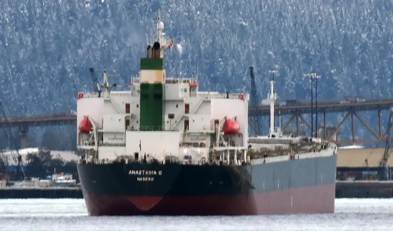 ELPIDA Bulk Carrier IMO 9218284 photo 3