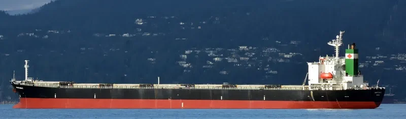 ELPIDA Bulk Carrier IMO 9218284 photo 6