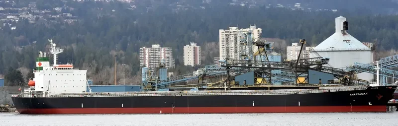ELPIDA Bulk Carrier IMO 9218284 photo 8
