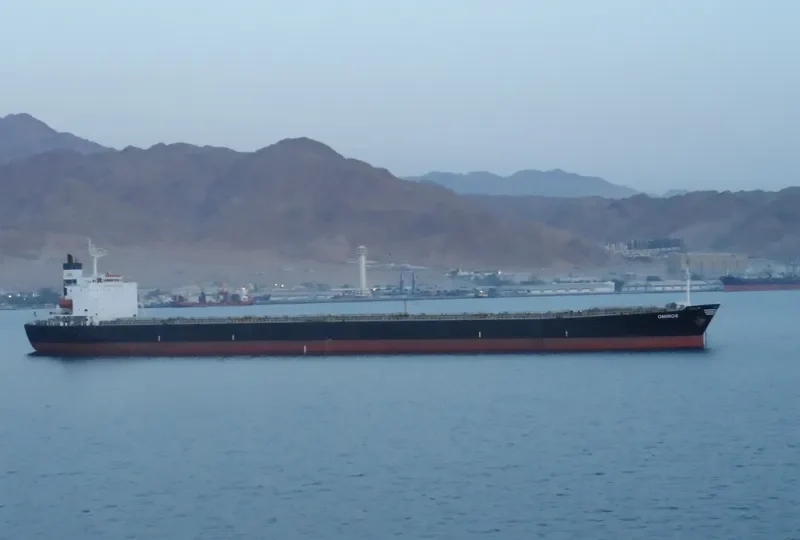 HENG XING DA Bulk Carrier IMO 9218296 photo 2
