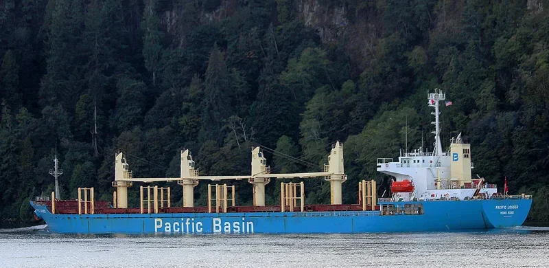 GOLDEN BRIDGE Bulk Carrier IMO 9218301