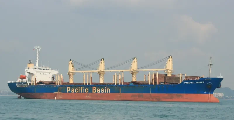 GOLDEN BRIDGE Bulk Carrier IMO 9218301 photo 3