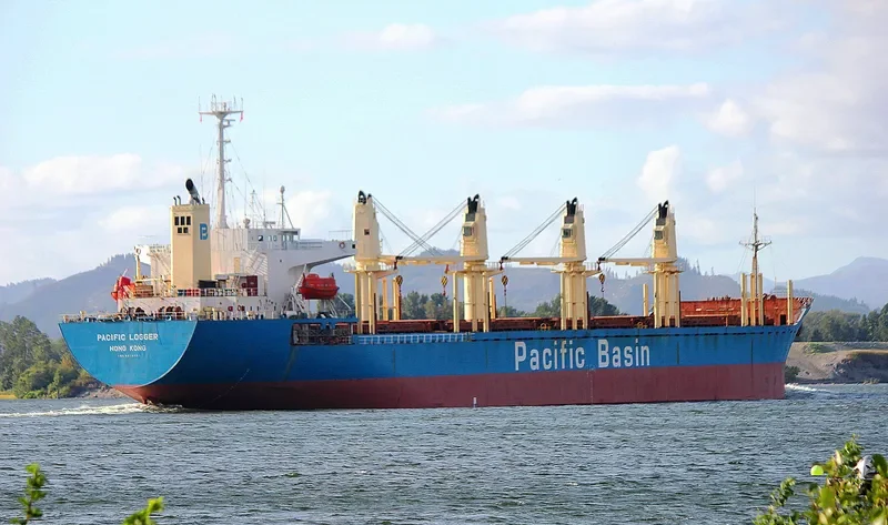 GOLDEN BRIDGE Bulk Carrier IMO 9218301 photo 4