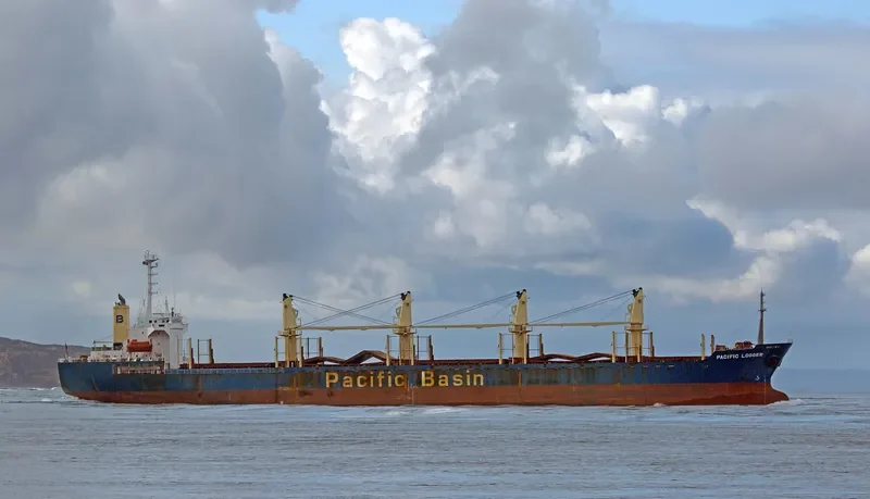 GOLDEN BRIDGE Bulk Carrier IMO 9218301 photo 6