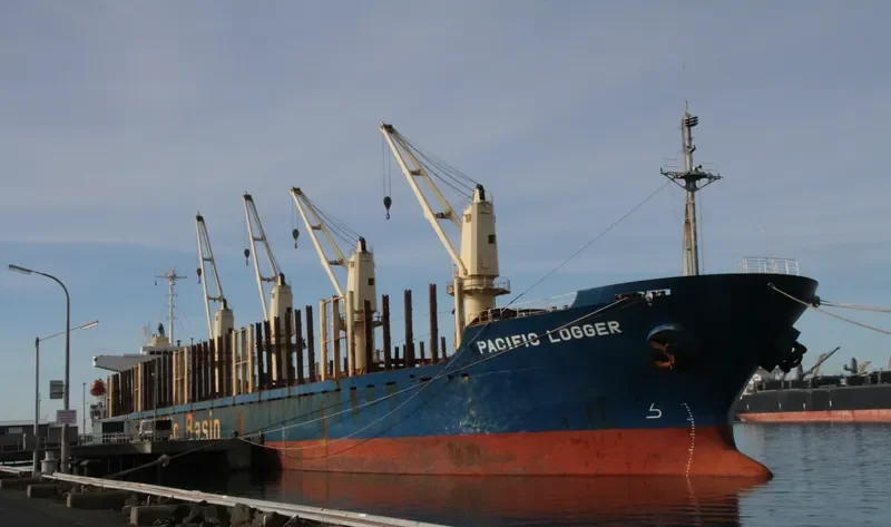GOLDEN BRIDGE Bulk Carrier IMO 9218301 photo 8