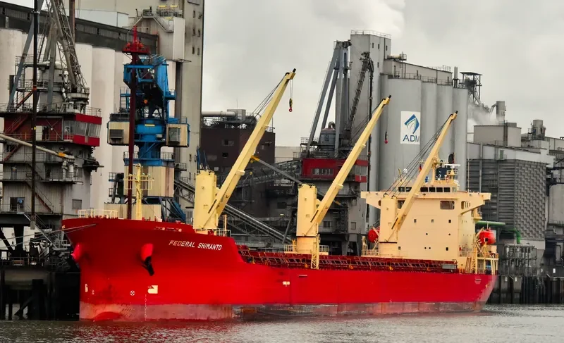 FEDERAL SHIMANTO Bulk Carrier IMO 9218404 photo 2