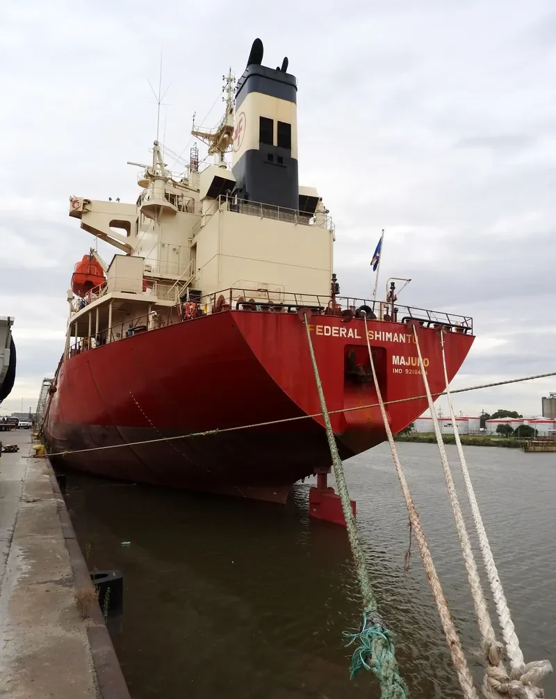 FEDERAL SHIMANTO Bulk Carrier IMO 9218404 photo 7