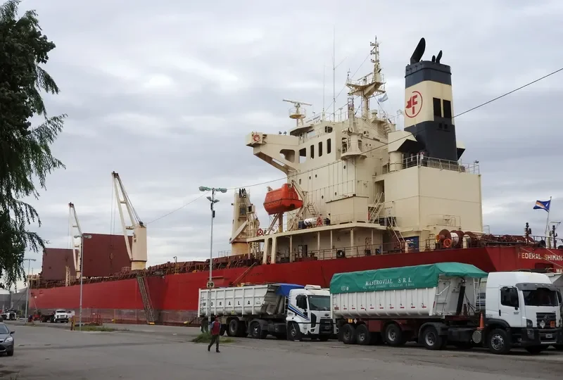 FEDERAL SHIMANTO Bulk Carrier IMO 9218404 photo 8