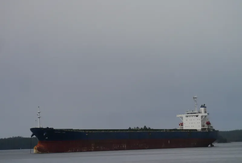 OURANIA LUCK Bulk Carrier IMO 9218428 photo 4