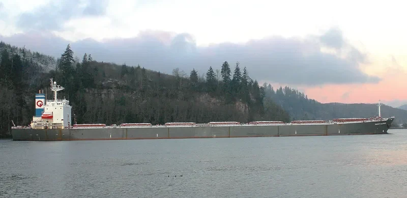 GUANG YUAN Bulk Carrier IMO 9218521 photo 3