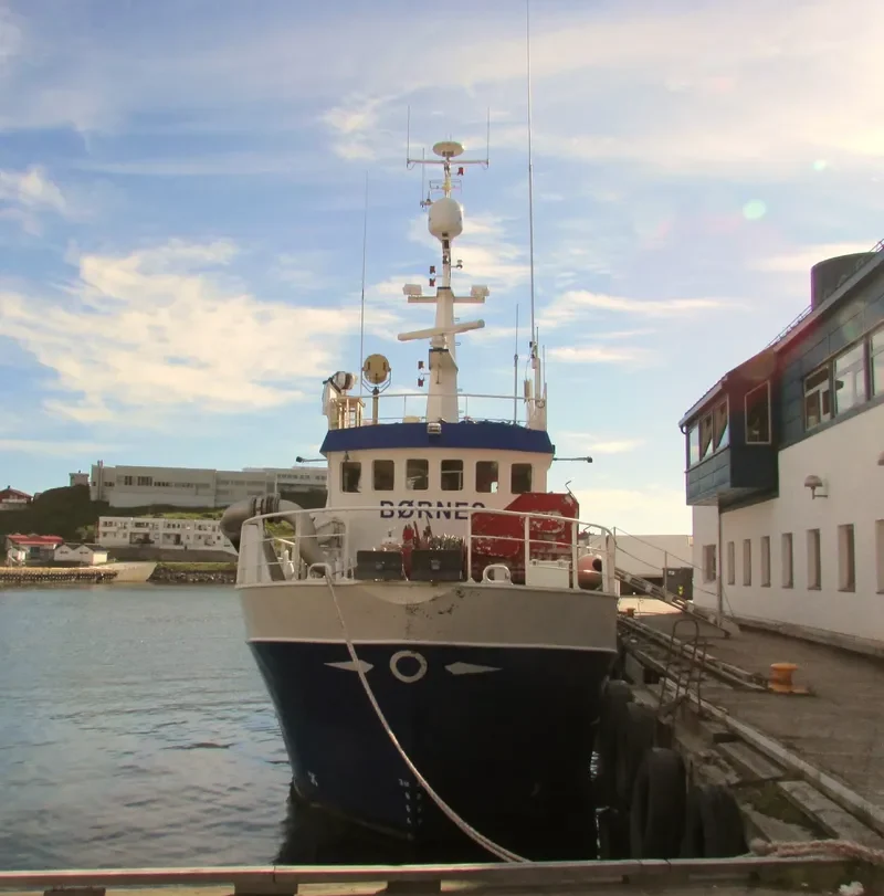 BOERNES General Cargo IMO 9218624