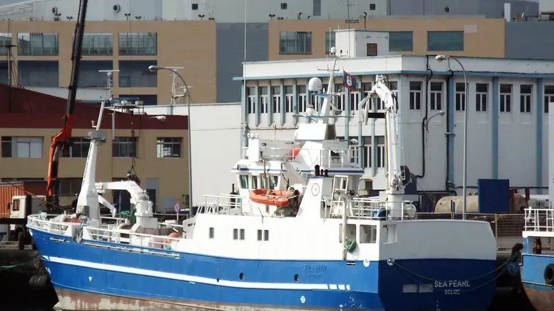 SEA PEARL General Cargo IMO 9218636
