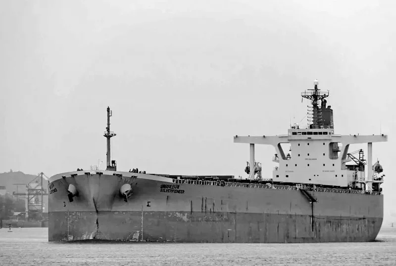 GLOVIS AMBITION Bulk Carrier IMO 9218832 photo 6