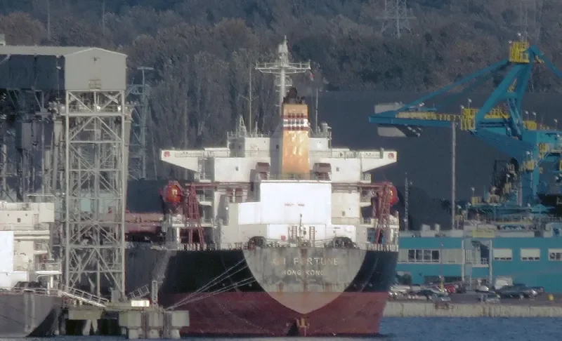 GH FORTUNE Bulk Carrier IMO 9218856 photo 7