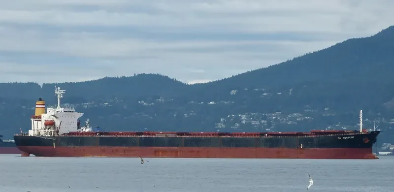 GH FORTUNE Bulk Carrier IMO 9218856 photo 8