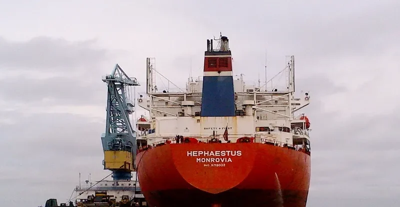 TAN YANG LUN Bulk Carrier IMO 9219032