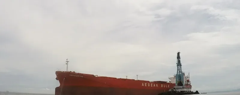 TAN YANG LUN Bulk Carrier IMO 9219032 photo 3