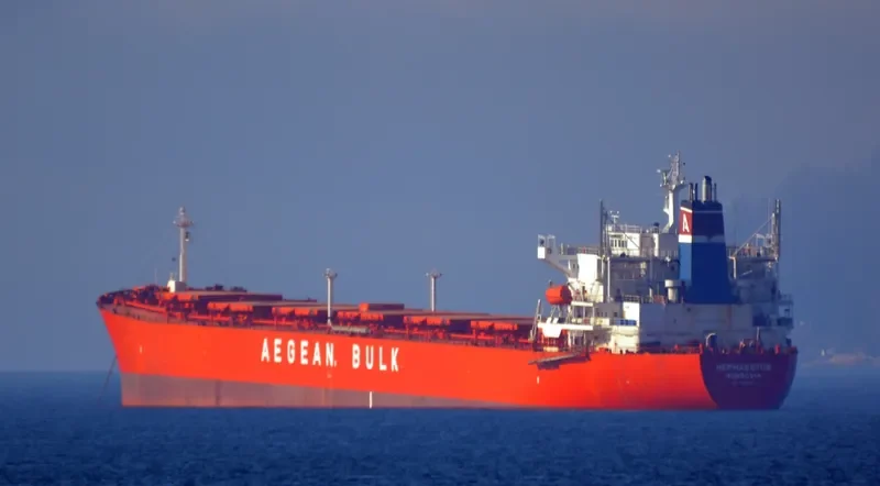 TAN YANG LUN Bulk Carrier IMO 9219032 photo 9